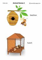 Animal Homes2_medium.pdf